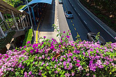 漫威蜘蛛侠开发商被黑后98%文件已经泄露